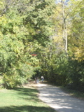 Path to picnic point
